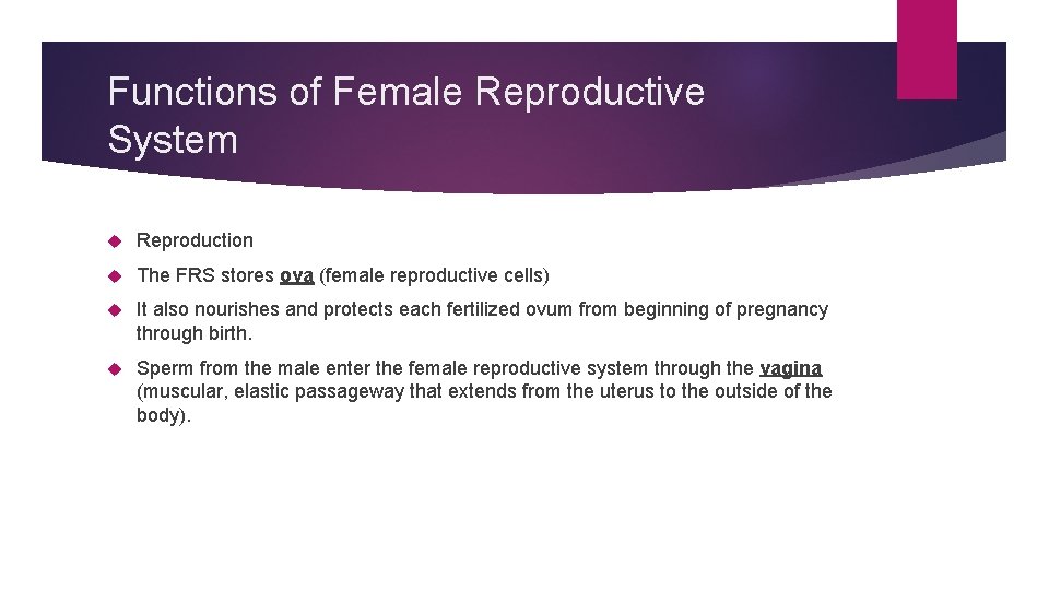 Functions of Female Reproductive System Reproduction The FRS stores ova (female reproductive cells) It