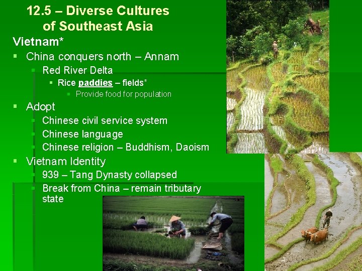 12. 5 – Diverse Cultures of Southeast Asia Vietnam* § China conquers north –
