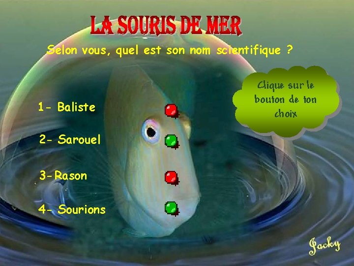 Selon vous, quel est son nom scientifique ? 1 - Baliste 2 - Sarouel