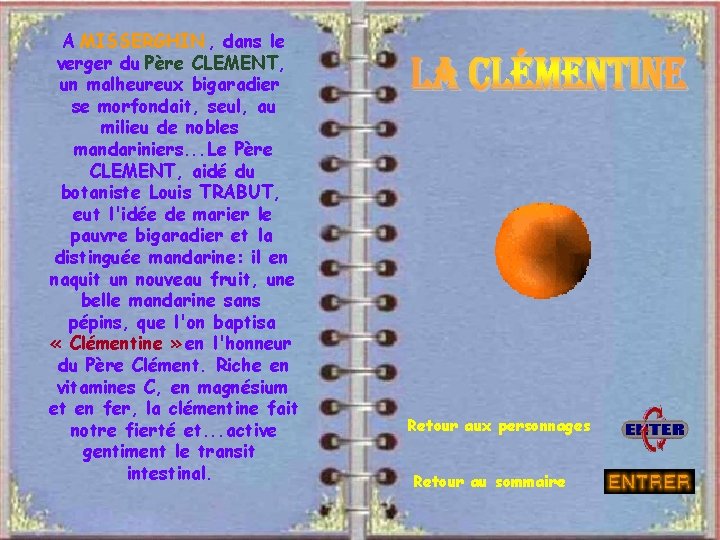 A MISSERGHIN , dans le verger du Père CLEMENT, un malheureux bigaradier se morfondait,