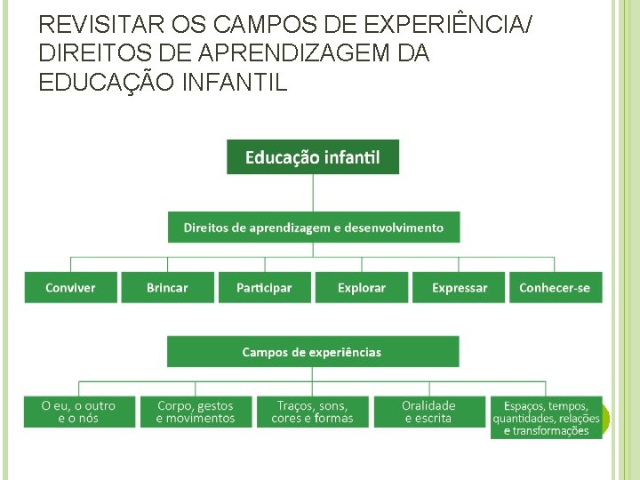 REVISITAR OS CAMPOS DE EXPERIÊNCIA/ DIREITOS DE APRENDIZAGEM DA EDUCAÇÃO INFANTIL 