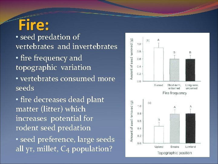 Fire: • seed predation of vertebrates and invertebrates • fire frequency and topographic variation