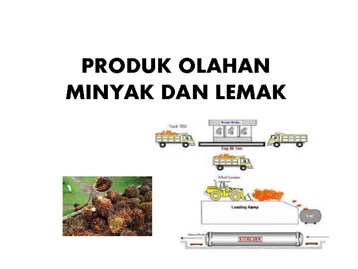 PRODUK OLAHAN MINYAK DAN LEMAK 