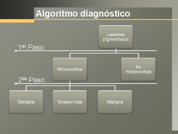 Algoritmo diagnóstico 1 er Paso 2 do Paso 