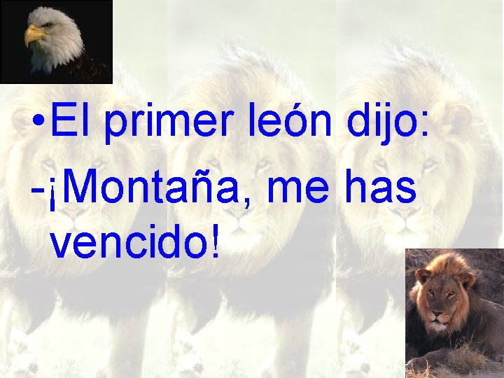  • El primer león dijo: -¡Montaña, me has vencido! 