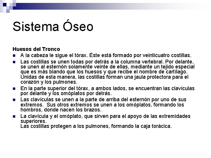 Sistema Óseo Huesos del Tronco n A la cabeza le sigue el tórax. Éste Sistema Óseo Huesos del Tronco n A la cabeza le sigue el tórax. Éste
