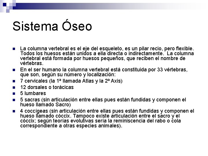 Sistema Óseo n n n n La columna vertebral es el eje del esqueleto,