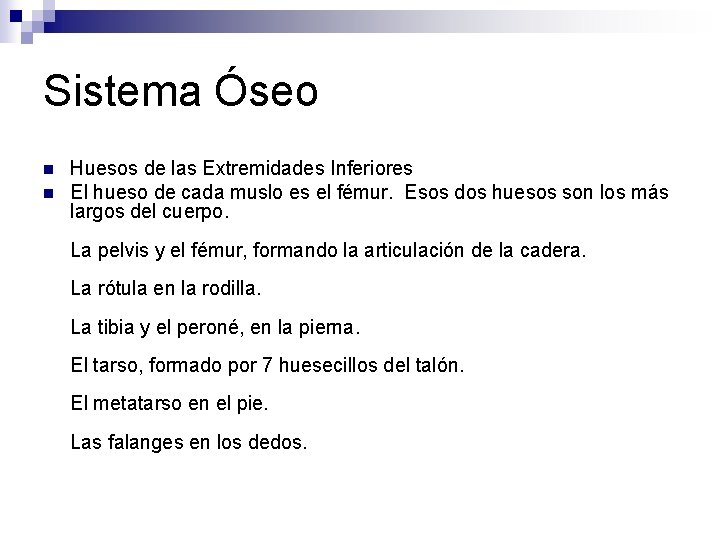 Sistema Óseo n n Huesos de las Extremidades Inferiores El hueso de cada muslo