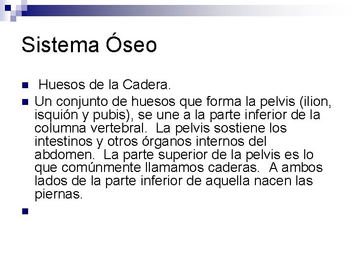 Sistema Óseo n n n Huesos de la Cadera. Un conjunto de huesos que