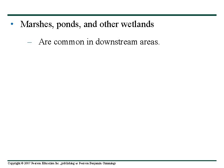  • Marshes, ponds, and other wetlands – Are common in downstream areas. Copyright