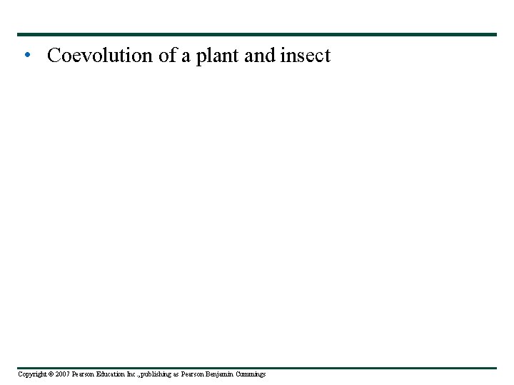  • Coevolution of a plant and insect Copyright © 2007 Pearson Education Inc.