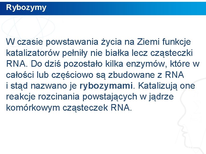 Rybozymy W czasie powstawania życia na Ziemi funkcje katalizatorów pełniły nie białka lecz cząsteczki