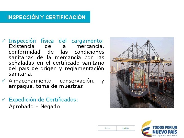 INSPECCIÓN Y CERTIFICACIÓN ü Inspección física del cargamento: Existencia de la mercancía, conformidad de