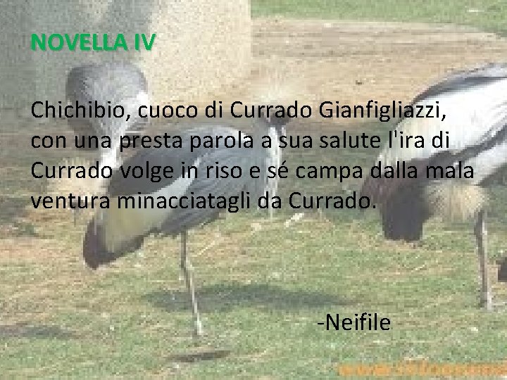 NOVELLA IV Chichibio, cuoco di Currado Gianfigliazzi, con una presta parola a sua salute NOVELLA IV Chichibio, cuoco di Currado Gianfigliazzi, con una presta parola a sua salute