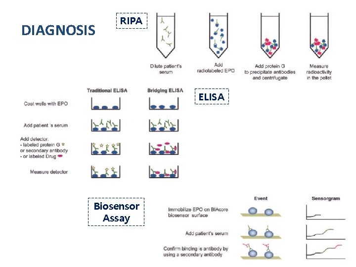 DIAGNOSIS RIPA ELISA Biosensor Assay 