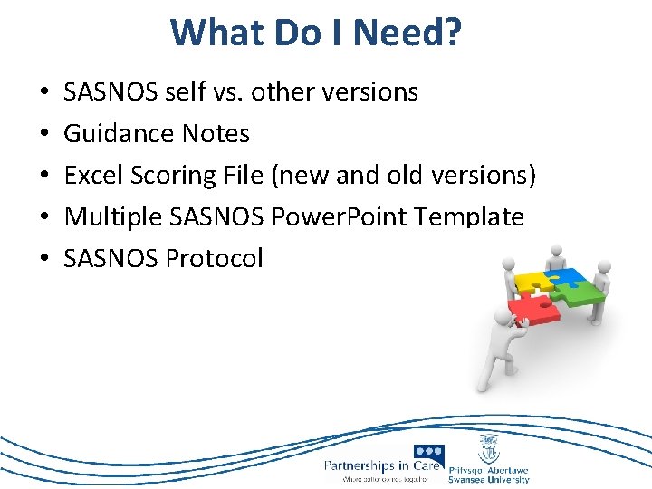 What Do I Need? • • • SASNOS self vs. other versions Guidance Notes