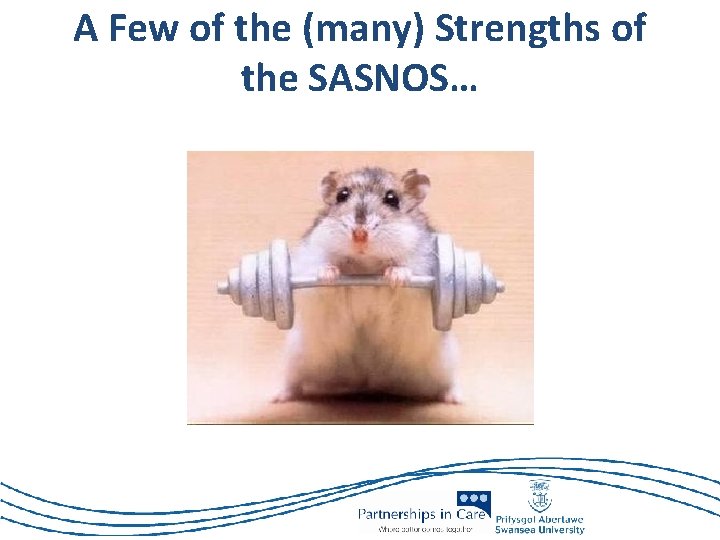 A Few of the (many) Strengths of the SASNOS… 