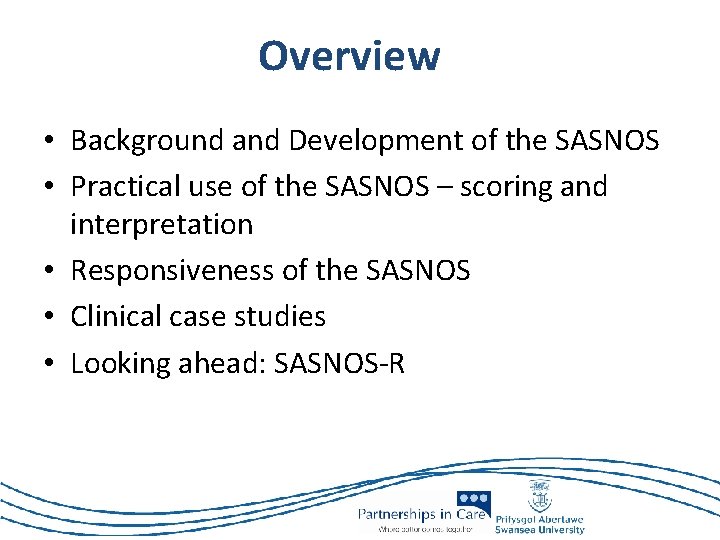 Overview • Background and Development of the SASNOS • Practical use of the SASNOS