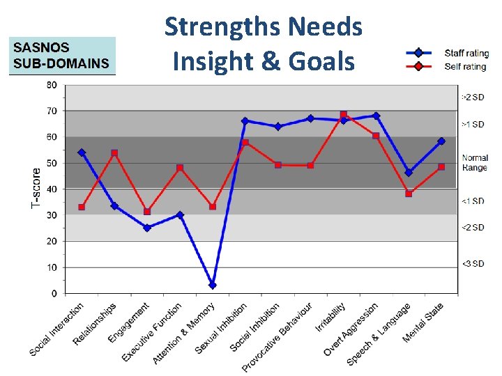 Strengths Needs Insight & Goals 