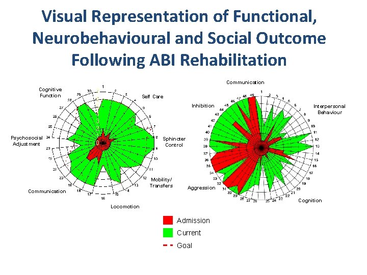 Visual Representation of Functional, Neurobehavioural and Social Outcome Following ABI Rehabilitation Communication Cognitive Function