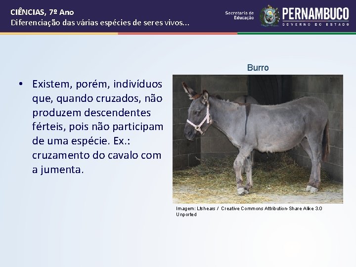 CIÊNCIAS, 7º Ano Diferenciação das várias espécies de seres vivos. . . Burro • CIÊNCIAS, 7º Ano Diferenciação das várias espécies de seres vivos. . . Burro •