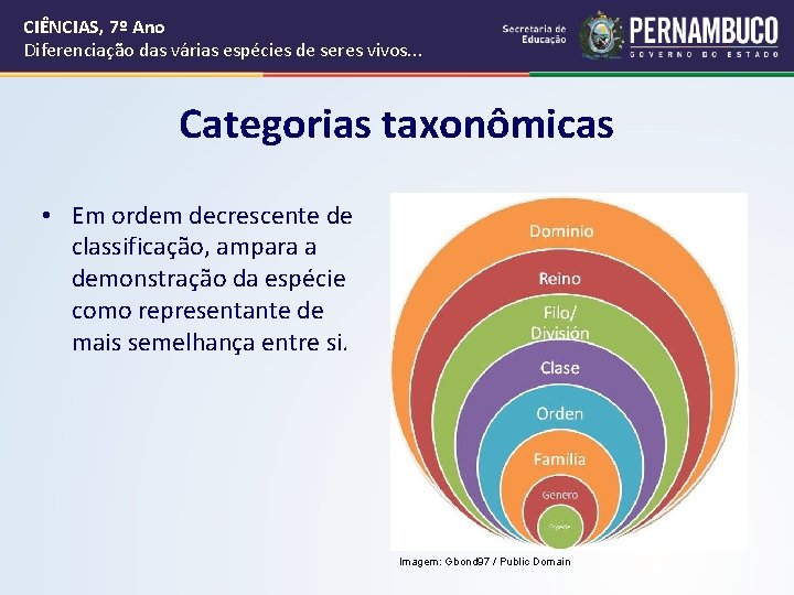 CIÊNCIAS, 7º Ano Diferenciação das várias espécies de seres vivos. . . Categorias taxonômicas CIÊNCIAS, 7º Ano Diferenciação das várias espécies de seres vivos. . . Categorias taxonômicas