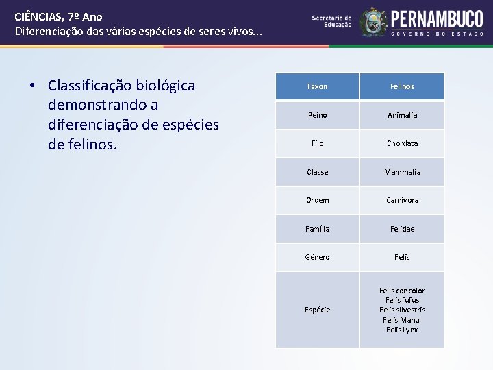 CIÊNCIAS, 7º Ano Diferenciação das várias espécies de seres vivos. . . • Classificação CIÊNCIAS, 7º Ano Diferenciação das várias espécies de seres vivos. . . • Classificação