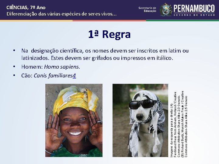 CIÊNCIAS, 7º Ano Diferenciação das várias espécies de seres vivos. . . 1ª Regra CIÊNCIAS, 7º Ano Diferenciação das várias espécies de seres vivos. . . 1ª Regra