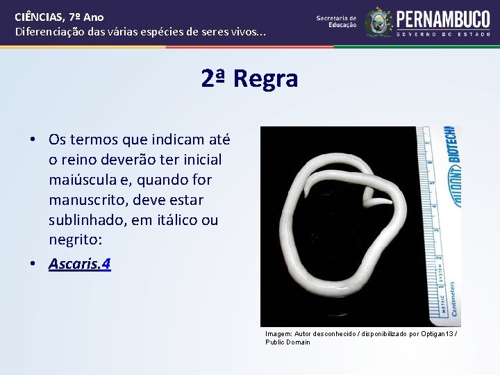 CIÊNCIAS, 7º Ano Diferenciação das várias espécies de seres vivos. . . 2ª Regra CIÊNCIAS, 7º Ano Diferenciação das várias espécies de seres vivos. . . 2ª Regra