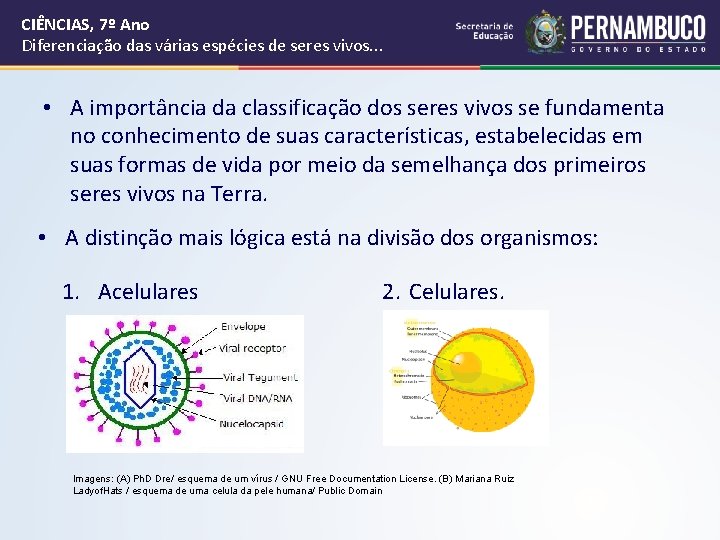 CIÊNCIAS, 7º Ano Diferenciação das várias espécies de seres vivos. . . • A CIÊNCIAS, 7º Ano Diferenciação das várias espécies de seres vivos. . . • A