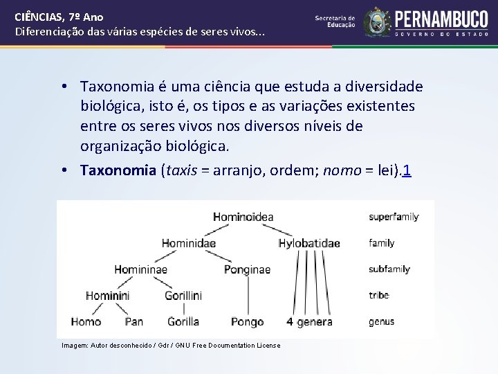 CIÊNCIAS, 7º Ano Diferenciação das várias espécies de seres vivos. . . • Taxonomia CIÊNCIAS, 7º Ano Diferenciação das várias espécies de seres vivos. . . • Taxonomia