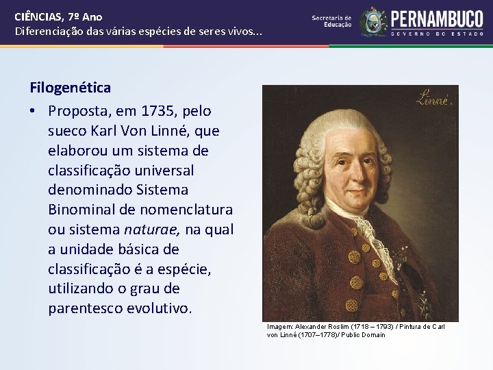 CIÊNCIAS, 7º Ano Diferenciação das várias espécies de seres vivos. . . Filogenética • CIÊNCIAS, 7º Ano Diferenciação das várias espécies de seres vivos. . . Filogenética •