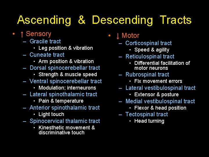 Ascending & Descending Tracts • ↑ Sensory – Gracile tract • Leg position &