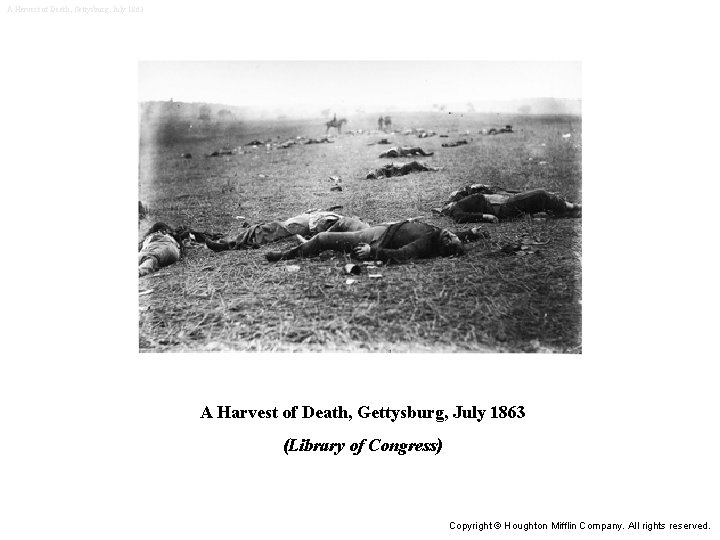 A Harvest of Death, Gettysburg, July 1863 (Library of Congress) Copyright © Houghton Mifflin