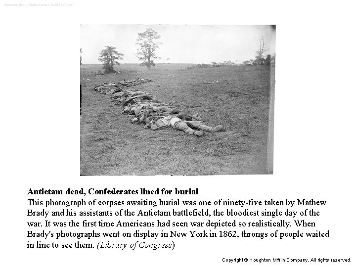 Antietam dead, Confederates lined for burial This photograph of corpses awaiting burial was one