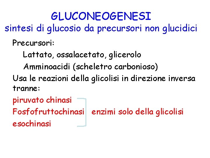 GLUCONEOGENESI sintesi di glucosio da precursori non glucidici Precursori: Lattato, ossalacetato, glicerolo Amminoacidi (scheletro
