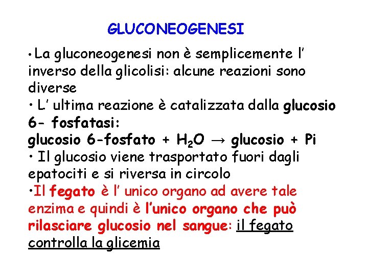 GLUCONEOGENESI • La gluconeogenesi non è semplicemente l’ inverso della glicolisi: alcune reazioni sono