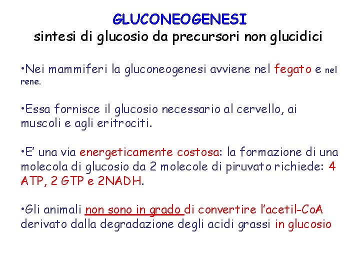 GLUCONEOGENESI sintesi di glucosio da precursori non glucidici • Nei mammiferi la gluconeogenesi avviene