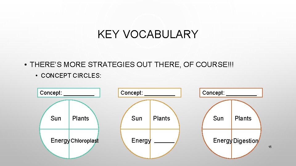 KEY VOCABULARY • THERE’S MORE STRATEGIES OUT THERE, OF COURSE!!! • CONCEPT CIRCLES: Concept: