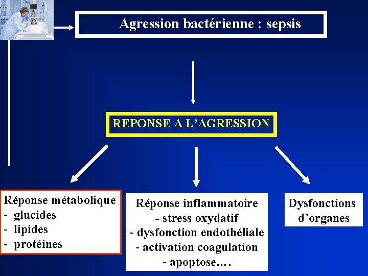 Agression bactérienne : sepsis REPONSE A L’AGRESSION Réponse métabolique - glucides - lipides -