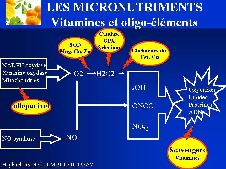 LES MICRONUTRIMENTS Vitamines et oligo-éléments SOD Mng, Cu, Zn NADPH oxydase Xanthine oxydase Mitochondries