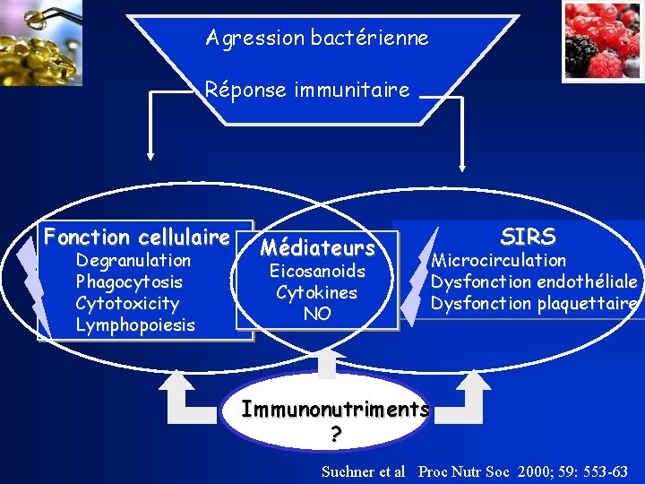 Agression bactérienne Réponse immunitaire Fonction cellulaire Degranulation Phagocytosis Cytotoxicity Lymphopoiesis Médiateurs Eicosanoids Cytokines NO