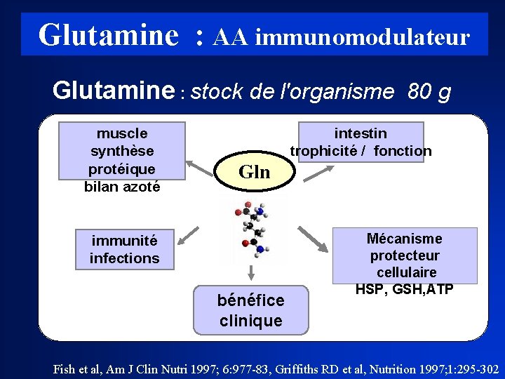 Glutamine : AA immunomodulateur Glutamine : stock de l'organisme 80 g muscle synthèse protéique