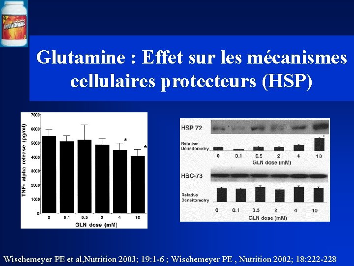 Glutamine : Effet sur les mécanismes cellulaires protecteurs (HSP) Wischemeyer PE et al, Nutrition