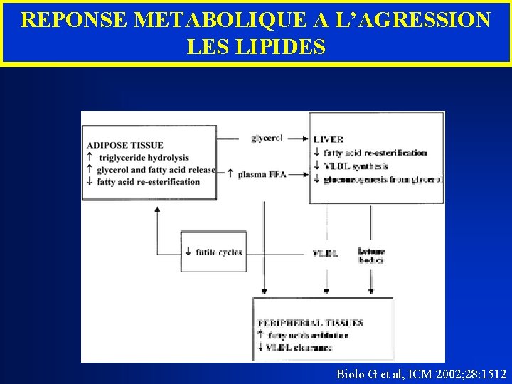 REPONSE METABOLIQUE A L’AGRESSION LES LIPIDES Biolo G et al, ICM 2002; 28: 1512