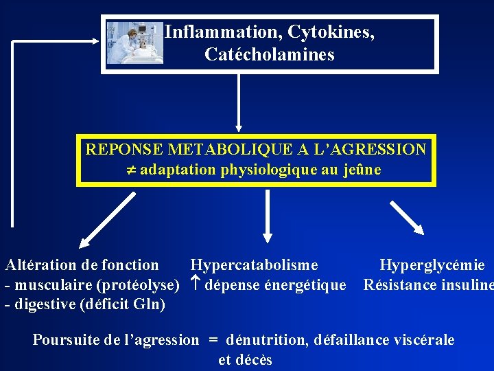 Inflammation, Cytokines, Catécholamines REPONSE METABOLIQUE A L’AGRESSION adaptation physiologique au jeûne Altération de fonction