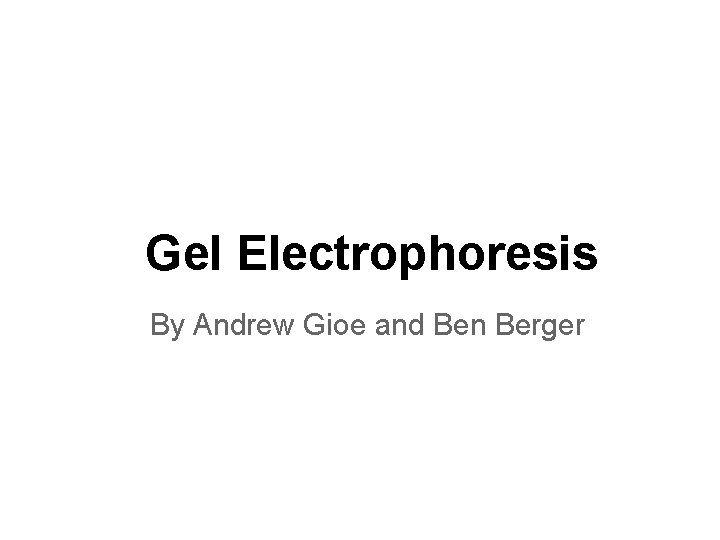 Gel Electrophoresis By Andrew Gioe and Ben Berger 
