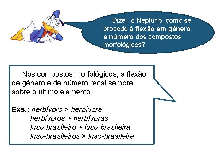 Dizei, ó Neptuno, como se procede à flexão em género e número dos compostos