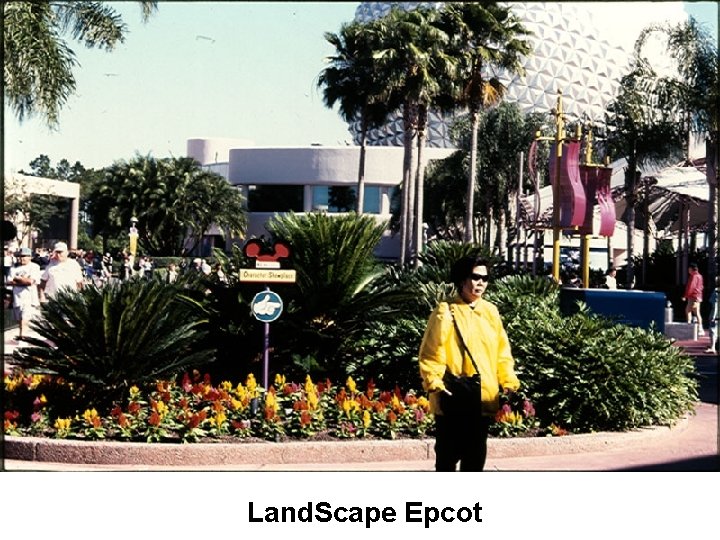 Land. Scape Epcot 