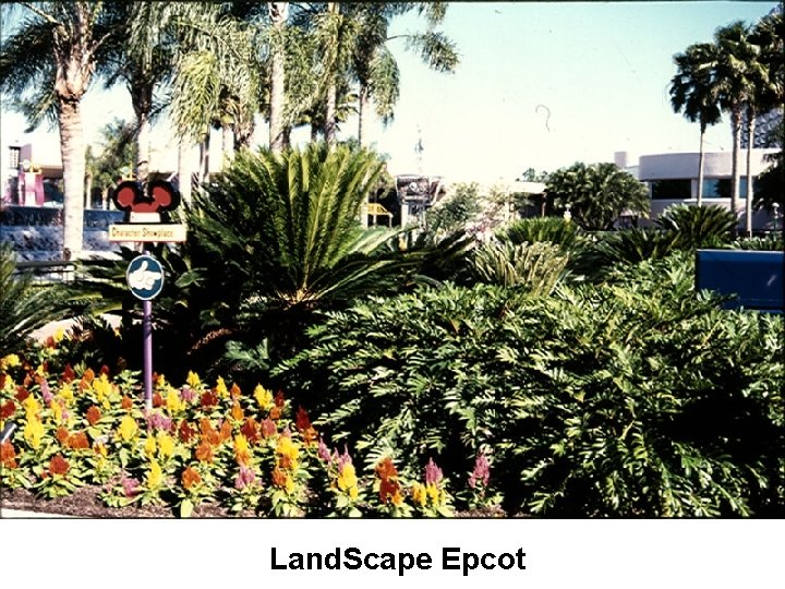 Land. Scape Epcot 